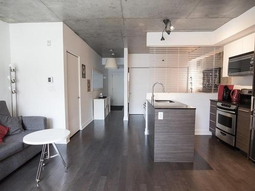 Vue d'ensemble - 313-2118 Rue St-Dominique, Montréal (Ville-Marie), QC - Indoor Photo Showing Kitchen With Double Sink