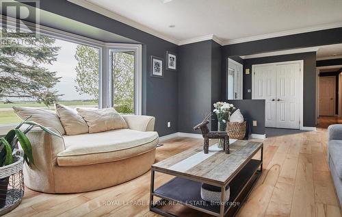 42 Pigeon Lake Road, Kawartha Lakes (Lindsay), ON - Indoor Photo Showing Living Room