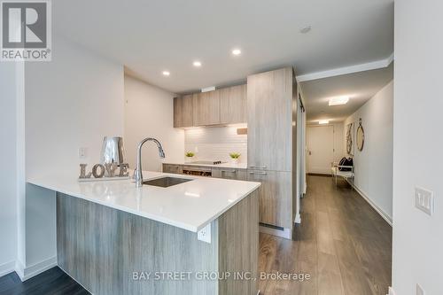 513 - 3 Gloucester Street, Toronto, ON - Indoor Photo Showing Kitchen With Upgraded Kitchen