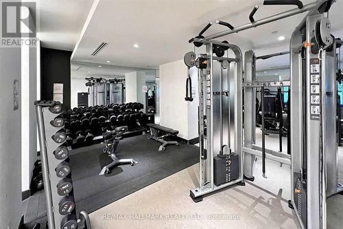 2809 - 2916 Highway 7 Road N, Vaughan, ON - Indoor Photo Showing Gym Room