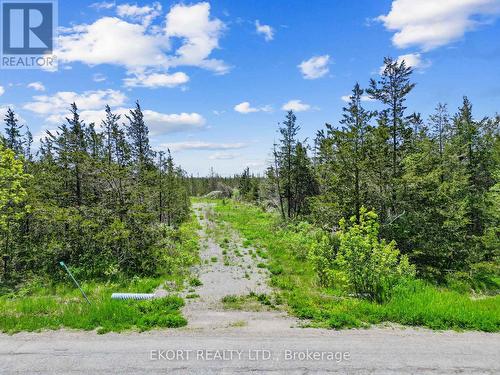 3394 County Road 13 Road, Prince Edward County, ON 