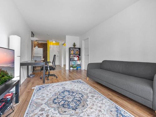 Salon - 304-100 Rue Sacré-Coeur, Longueuil (Le Vieux-Longueuil), QC - Indoor Photo Showing Living Room