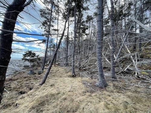 Lot 1 Harding Drive, Little Port L'Hebert, NS 