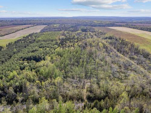 Acreage Selkirk Road, Belfast, PE 