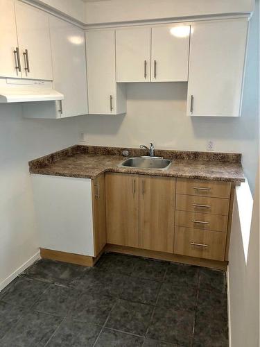 Dwelling - 488  - 490 Rue Filion, Saint-Jérôme, QC - Indoor Photo Showing Kitchen