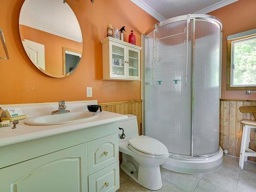 Bathroom - 546 6E Avenue Lac-Capri, Saint-Colomban, QC - Indoor Photo Showing Bathroom