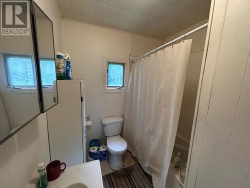 762 Maidstone Road, Maidstone, NL - Indoor Photo Showing Bathroom