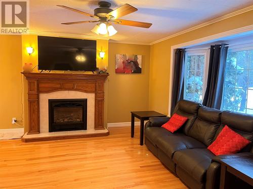 49 Main Highway, Salmon Cove, NL - Indoor Photo Showing Living Room With Fireplace