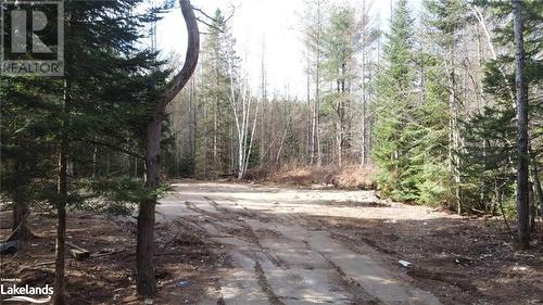 1021 Barry Line Road, Haliburton, ON - Outdoor With View