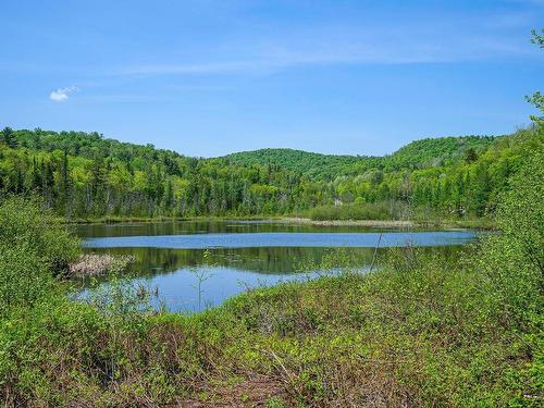 Water view - 1531 Ch. J.-Robin, Saint-Adolphe-D'Howard, QC - Outdoor With View