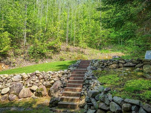 Backyard - 1531 Ch. J.-Robin, Saint-Adolphe-D'Howard, QC - Outdoor