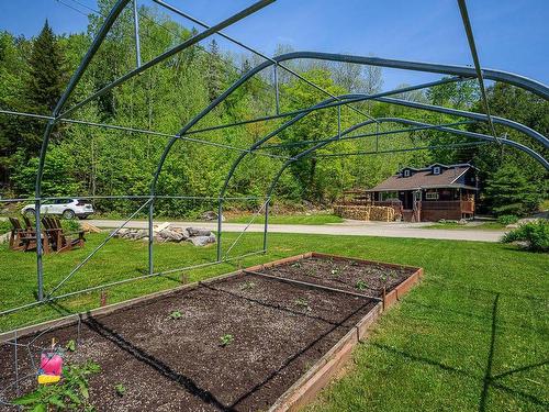 Garden - 1531 Ch. J.-Robin, Saint-Adolphe-D'Howard, QC - Outdoor