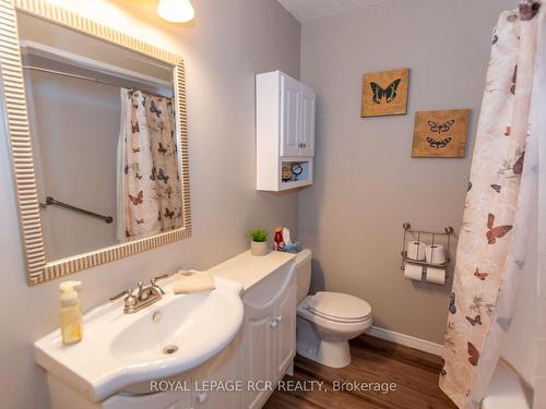 56 Princess St, Orangeville, ON - Indoor Photo Showing Bathroom
