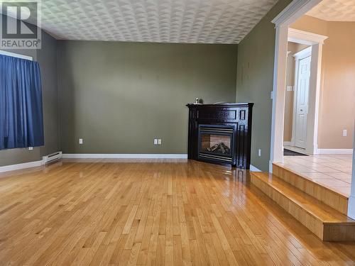 18 Doucet Place, Marystown, NL - Indoor With Fireplace