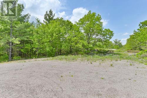 10450B Highway 41, Addington Highlands, ON 