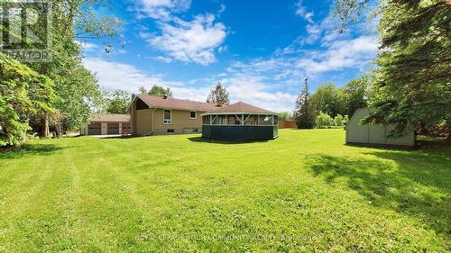 4616 Hwy 89 Road, Innisfil, ON - Outdoor With Backyard