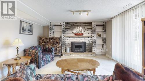 4616 Hwy 89 Road, Innisfil, ON - Indoor Photo Showing Other Room With Fireplace