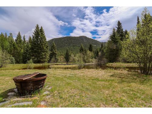 9250 Pretty Road, Cranbrook, BC - Outdoor With View
