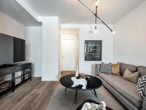 Salon - B301-2301 Rue St-Patrick, Montréal (Le Sud-Ouest), QC - Indoor Photo Showing Living Room