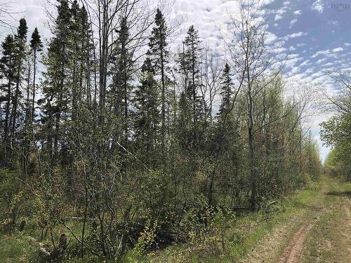 Lot G Slade Road, West Tatamagouche, NS 