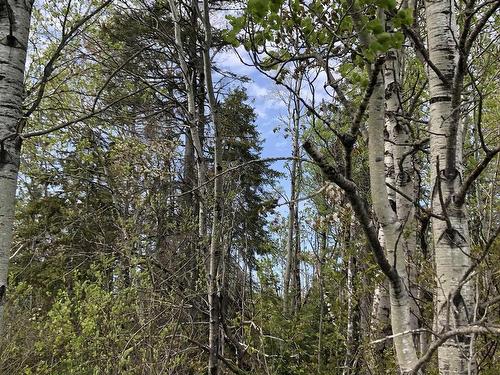 Lot G Slade Road, West Tatamagouche, NS 