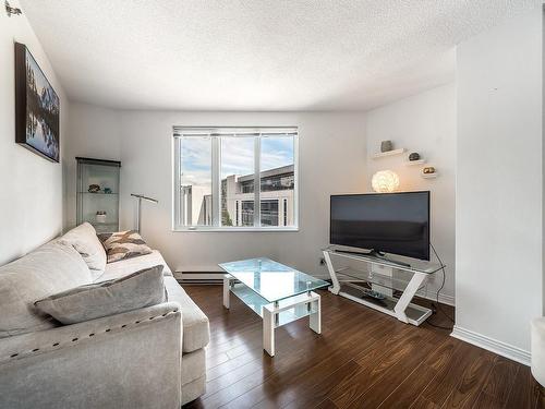 Salon - 701-1225 Rue Notre-Dame O., Montréal (Ville-Marie), QC - Indoor Photo Showing Living Room