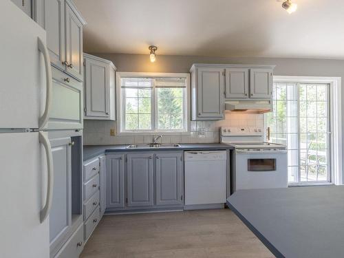 Kitchen - 250 Rue Léger, Saint-Michel-Des-Saints, QC - Indoor Photo Showing Kitchen With Double Sink