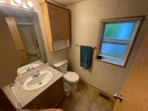 10 - 7105 North Fork Rd, Grand Forks, BC - Indoor Photo Showing Bathroom