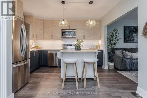 45 Tragina Avenue N, Hamilton, ON - Indoor Photo Showing Kitchen With Stainless Steel Kitchen With Upgraded Kitchen