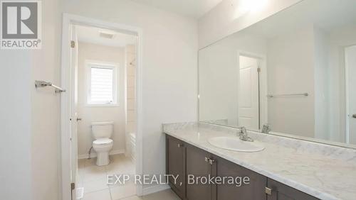 20 Armes Street, Hamilton (Binbrook), ON - Indoor Photo Showing Bathroom