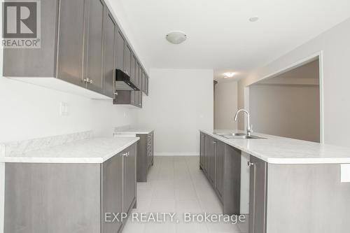 20 Armes Street, Hamilton (Binbrook), ON - Indoor Photo Showing Kitchen With Double Sink