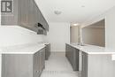 20 Armes Street, Hamilton (Binbrook), ON  - Indoor Photo Showing Kitchen With Double Sink 