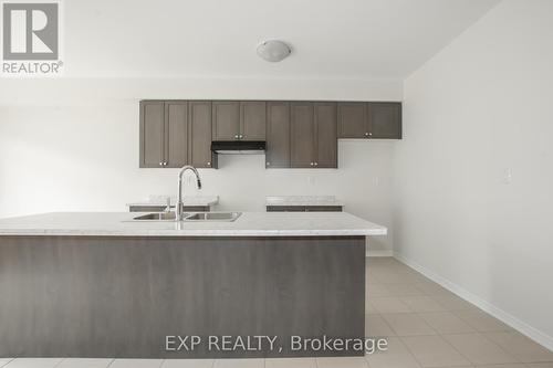 20 Armes Street, Hamilton (Binbrook), ON - Indoor Photo Showing Kitchen With Double Sink