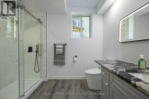 1062 Moy Crescent, London, ON - Indoor Photo Showing Bathroom