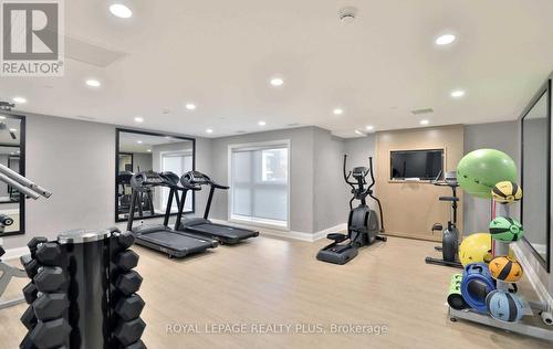 334 - 128 Grovewood Common, Oakville, ON - Indoor Photo Showing Gym Room