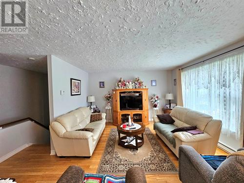 28 Glenhaven Boulevard, Corner Brook, NL - Indoor Photo Showing Living Room