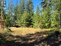 13525 Lafrance Creek Road, Boswell, BC 