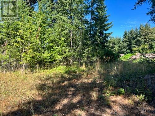 13525 Lafrance Creek Road, Boswell, BC 