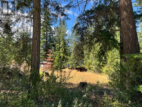 13525 Lafrance Creek Road, Boswell, BC 