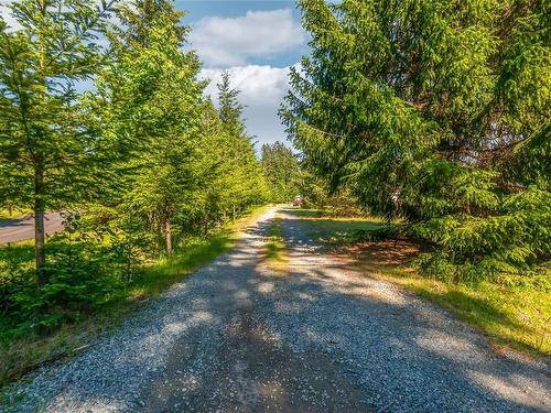 5555 Maebelle Rd, Port Alberni, BC - Outdoor With View