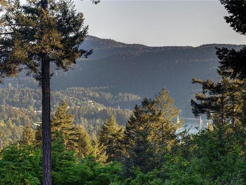 8152 Woodwyn Terr, Central Saanich, BC - Outdoor With View