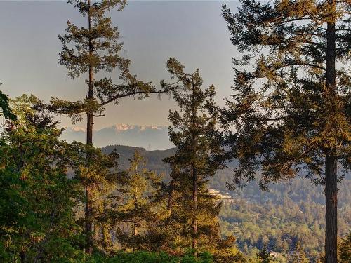 8152 Woodwyn Terr, Central Saanich, BC - Outdoor With View