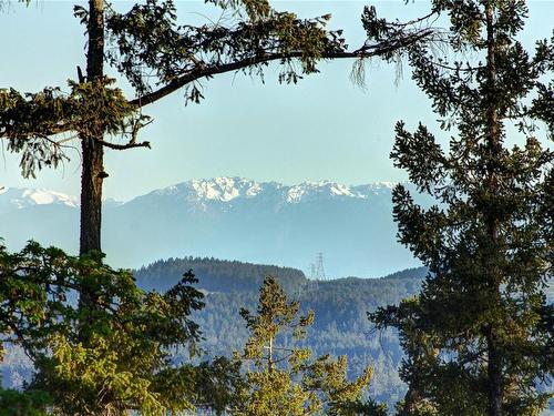 8152 Woodwyn Terr, Central Saanich, BC - Outdoor With View