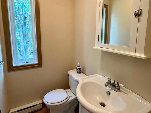 Powder room - 1 Ch. Des Amoureux, Mont-Tremblant, QC - Indoor Photo Showing Bathroom