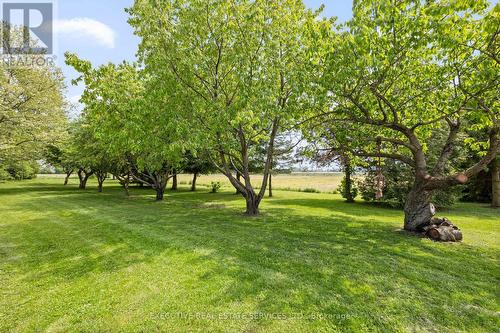 3670 3Rd Concession Road, Essex, ON - Outdoor With View