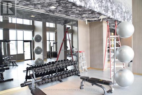 810 - 405 Dundas Street W, Oakville, ON - Indoor Photo Showing Gym Room