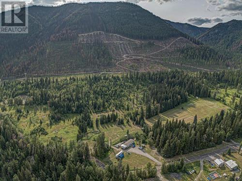 1191 Matevic Road, Sparwood, BC - Outdoor With View