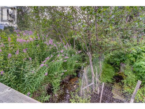 1191 Matevic Road, Sparwood, BC - Outdoor