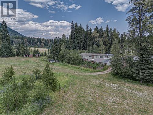 1191 Matevic Road, Sparwood, BC - Outdoor With View