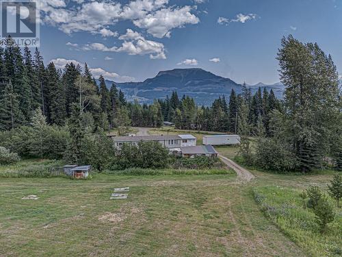 1191 Matevic Road, Sparwood, BC - Outdoor With View